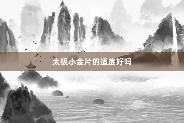 太极小金片的适度好吗